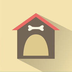 contact dog trainers miami